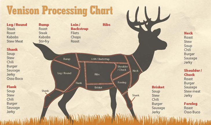 butcher-deer-diagram
